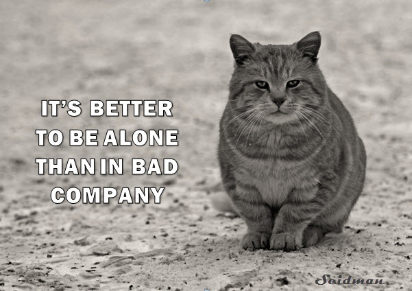 cat_ITS BETTER